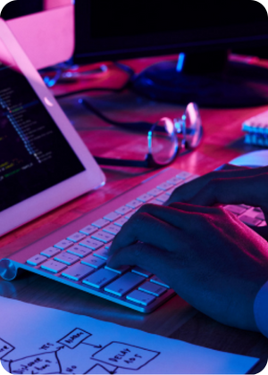 Professional Website Development Service